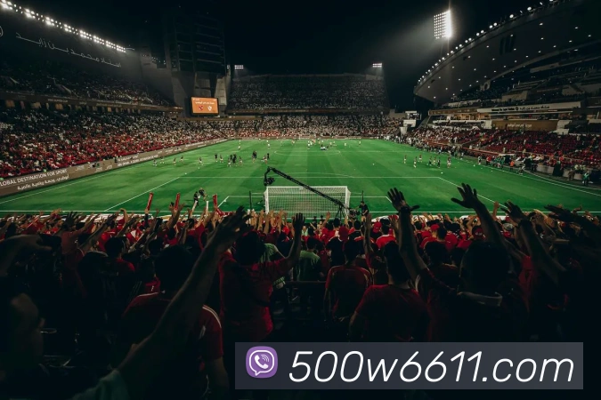 500万彩票网服务体系